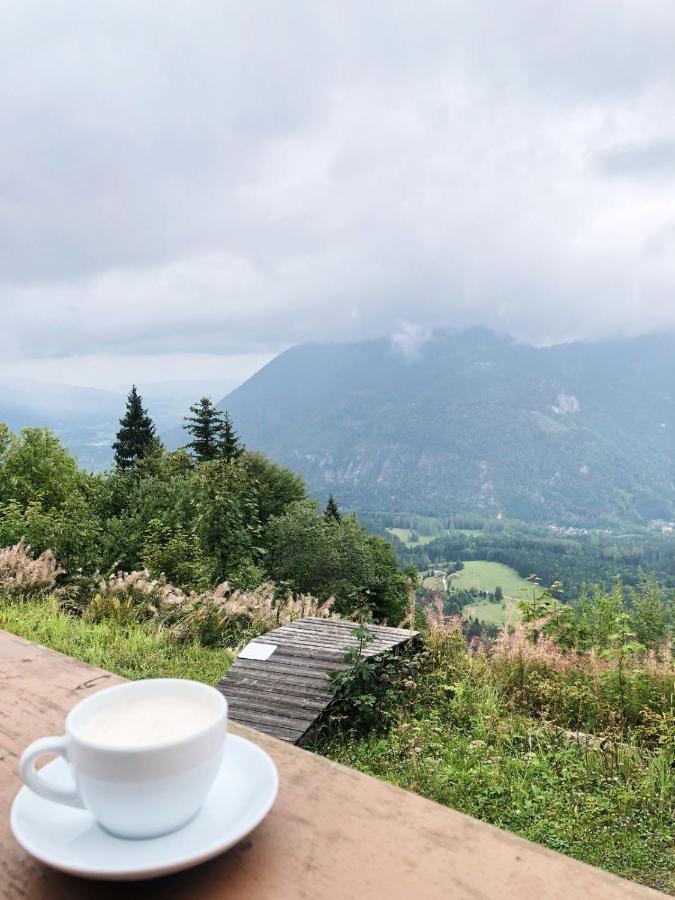 霍驰博格豪斯酒店 Grünau im Almtal 外观 照片