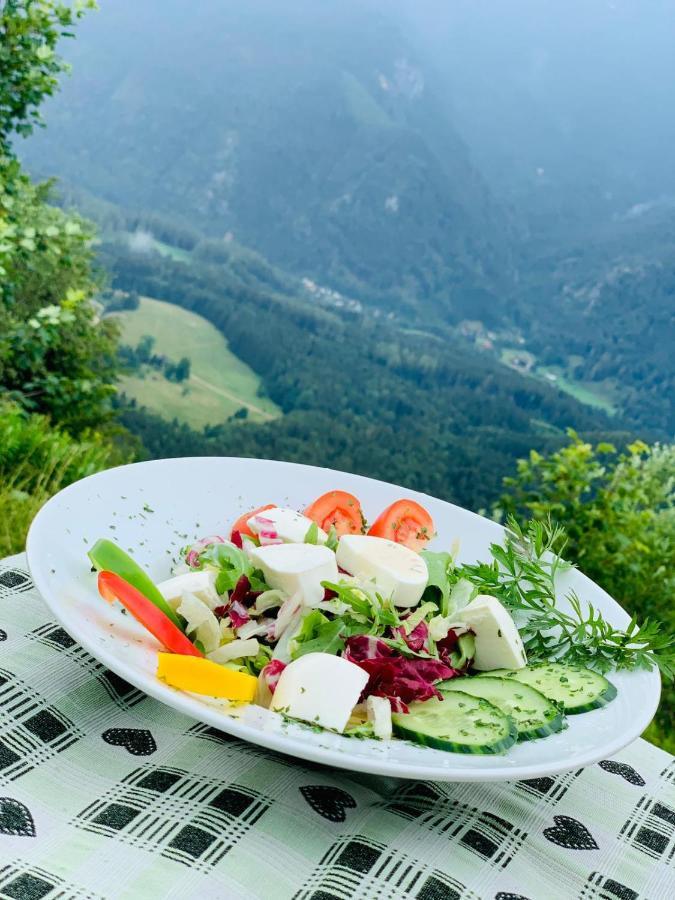 霍驰博格豪斯酒店 Grünau im Almtal 外观 照片